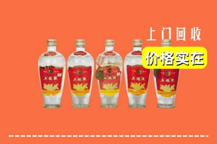 诚信求购:黄山黟县高价回收老五粮液